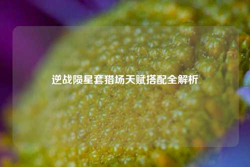 逆战陨星套猎场天赋搭配全解析