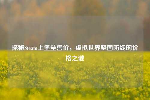 探秘Steam上堡垒售价,虚拟世界坚固防线的价格之谜