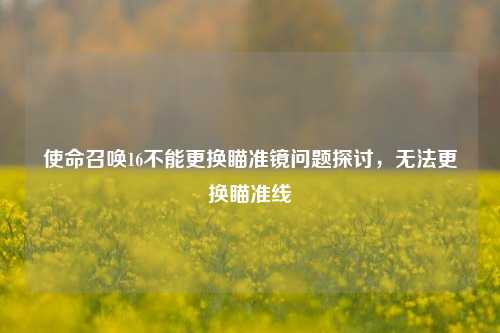 使命召唤16不能更换瞄准镜问题探讨,无法更换瞄准线