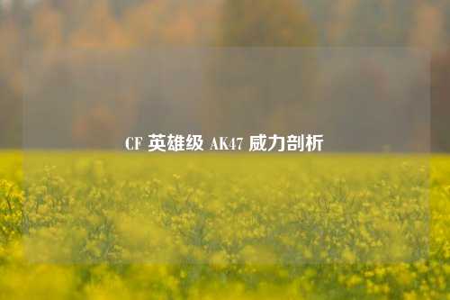 CF 英雄级 AK47 威力剖析