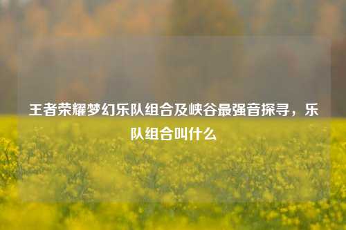 王者荣耀梦幻乐队组合及峡谷最强音探寻,乐队组合叫什么