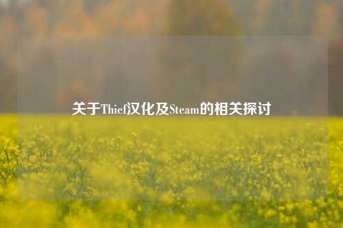 关于Thief汉化及Steam的相关探讨