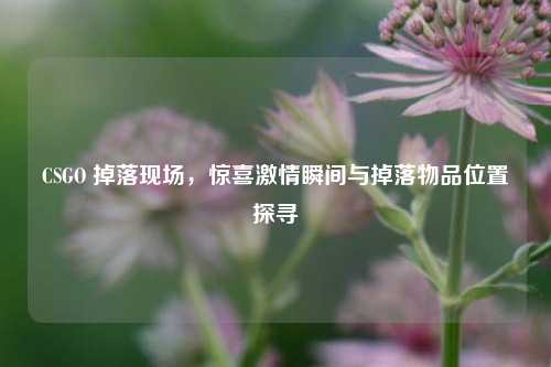 CSGO 掉落现场,惊喜激情瞬间与掉落物品位置探寻