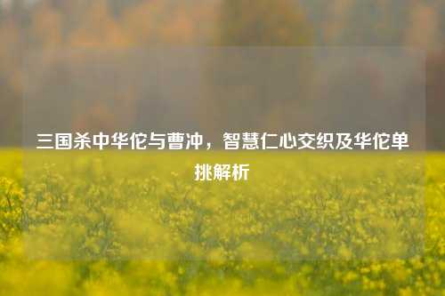 三国杀中华佗与曹冲,智慧仁心交织及华佗单挑解析