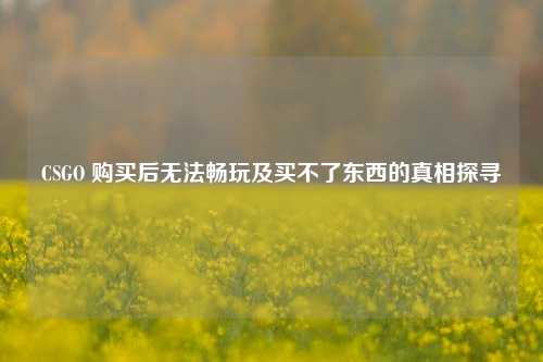 CSGO 购买后无法畅玩及买不了东西的真相探寻