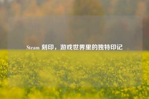 Steam 刻印，游戏世界里的独特印记