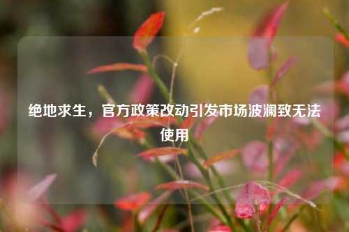 绝地求生,官方政策改动引发市场波澜致无法使用