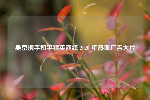 吴京携手和平精英演绎 2020 年热血广告大片