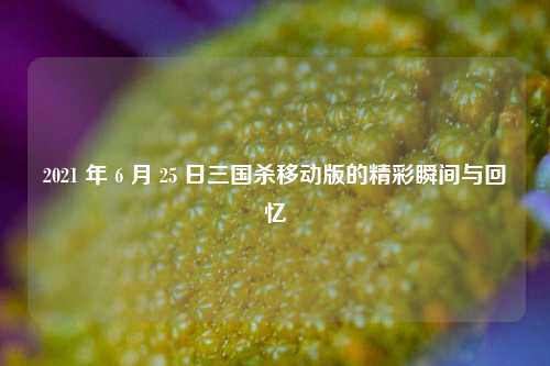 2021 年 6 月 25 日三国杀移动版的精彩瞬间与回忆