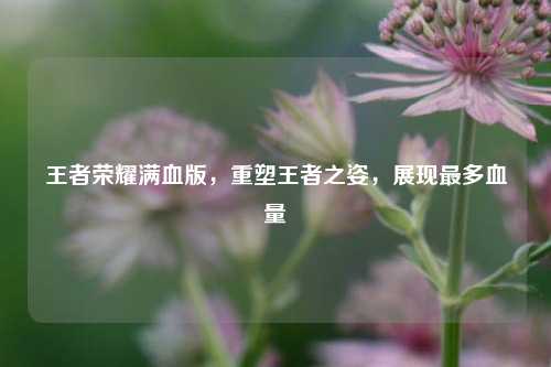 王者荣耀满血版,重塑王者之姿,展现最多血量