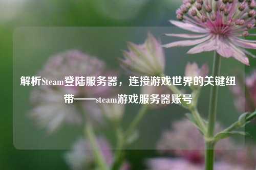解析Steam登陆服务器,连接游戏世界的关键纽带——steam游戏服务器账号