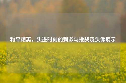 和平精英，头进时刻的刺激与挑战及头像展示