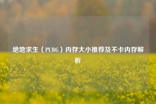 绝地求生(PUBG)内存大小推荐及不卡内存解析