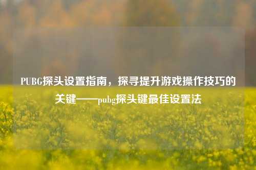 PUBG探头设置指南,探寻提升游戏操作技巧的关键——pubg探头键最佳设置法