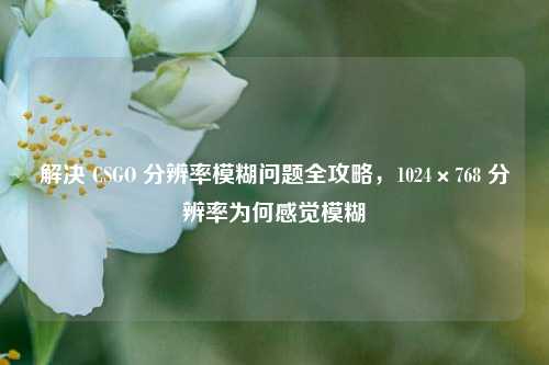 解决 CSGO 分辨率模糊问题全攻略，1024×768 分辨率为何感觉模糊