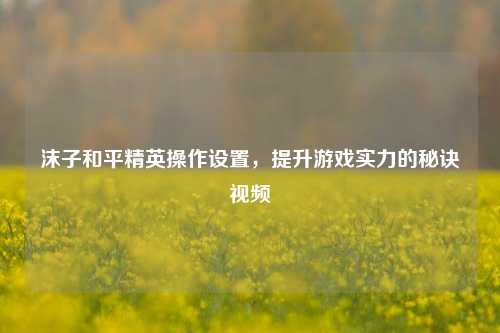 沫子和平精英操作设置，提升游戏实力的秘诀视频