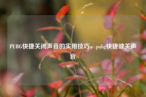 PUBG快捷关闭声音的实用技巧,pubg快捷键关声音