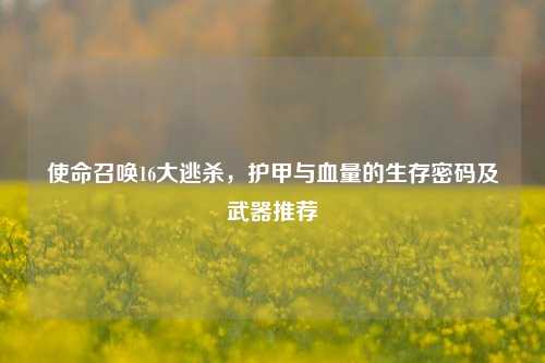 使命召唤16大逃杀,护甲与血量的生存密码及武器推荐