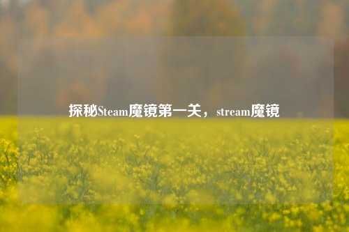 探秘Steam魔镜第一关,stream魔镜