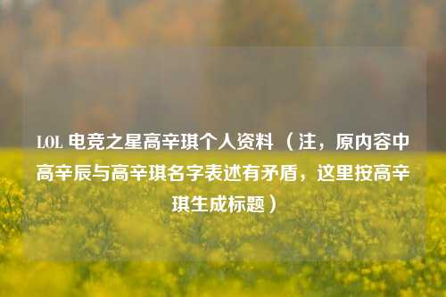 LOL 电竞之星高辛琪个人资料 (注,原内容中高辛辰与高辛琪名字表述有矛盾,这里按高辛琪生成标题)