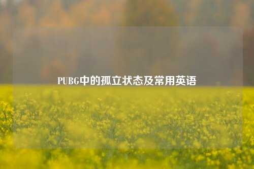 PUBG中的孤立状态及常用英语