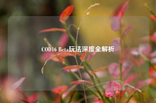 COD16 Beta玩法深度全解析