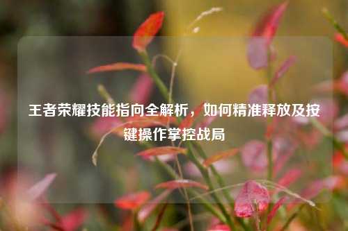 王者荣耀技能指向全解析,如何精准释放及按键操作掌控战局