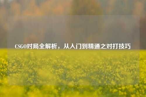 CSGO对局全解析,从入门到精通之对打技巧