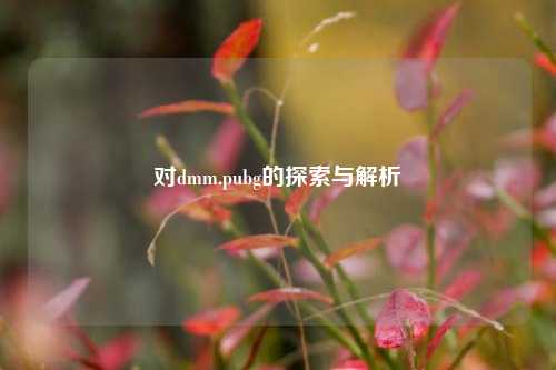 对dmm.pubg的探索与解析