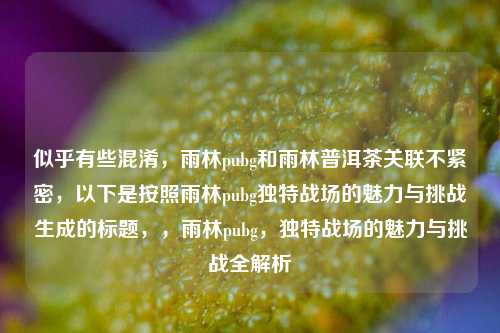 似乎有些混淆,雨林pubg和雨林普洱茶关联不紧密,以下是按照雨林pubg独特战场的魅力与挑战生成的标题,,雨林pubg,独特战场的魅力与挑战全解析