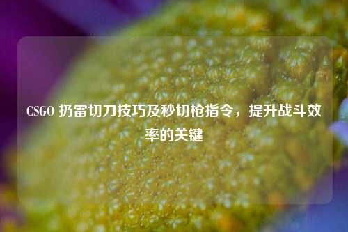 CSGO 扔雷切刀技巧及秒切枪指令,提升战斗效率的关键