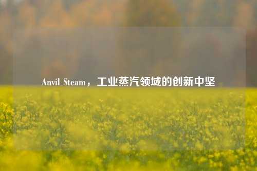Anvil Steam,工业蒸汽领域的创新中坚