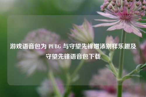 游戏语音包为 PUBG 与守望先锋增添别样乐趣及守望先锋语音包下载