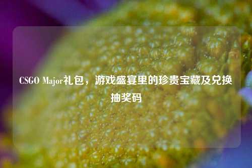 CSGO Major礼包,游戏盛宴里的珍贵宝藏及兑换抽奖码