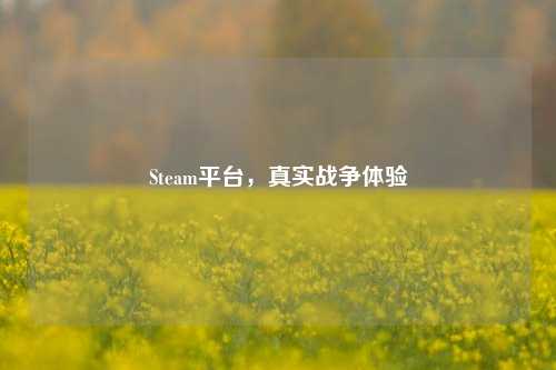 Steam平台,真实战争体验