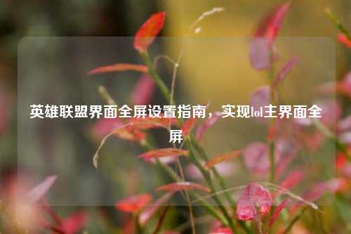 英雄联盟界面全屏设置指南,实现lol主界面全屏