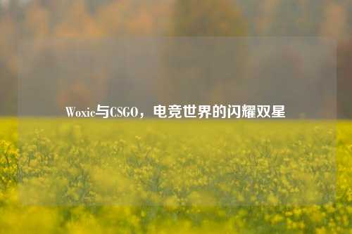 Woxic与CSGO，电竞世界的闪耀双星