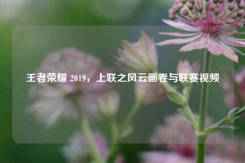 王者荣耀 2019,上联之风云画卷与联赛视频