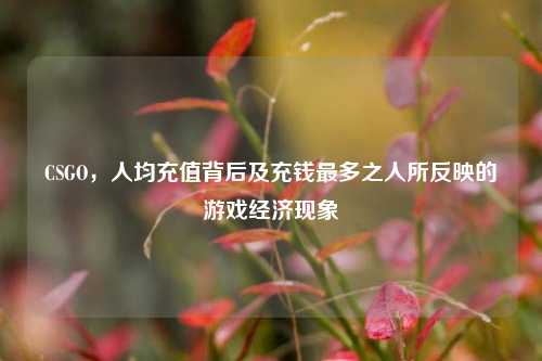 CSGO,人均充值背后及充钱最多之人所反映的游戏经济现象