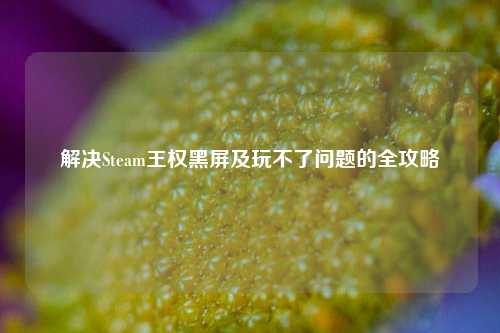 解决Steam王权黑屏及玩不了问题的全攻略