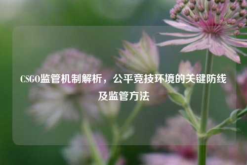 CSGO监管机制解析，公平竞技环境的关键防线及监管方法