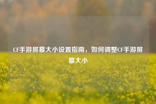 CF手游屏幕大小设置指南,如何调整CF手游屏幕大小