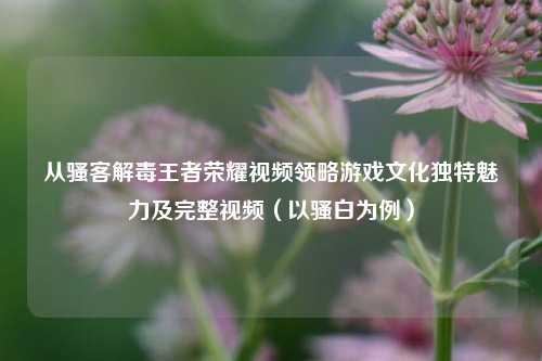 从骚客解毒王者荣耀视频领略游戏文化独特魅力及完整视频(以骚白为例)