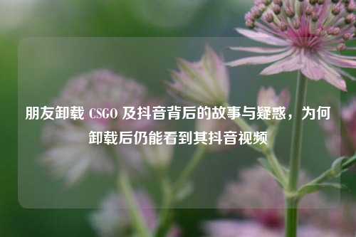 朋友卸载 CSGO 及抖音背后的故事与疑惑,为何卸载后仍能看到其抖音视频