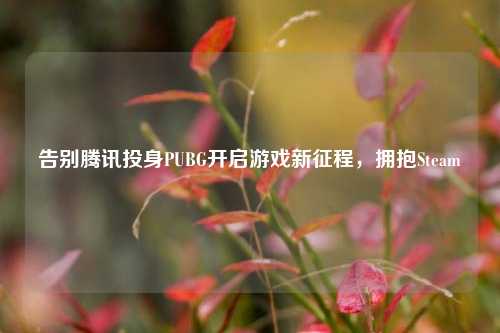 告别腾讯投身PUBG开启游戏新征程,拥抱Steam