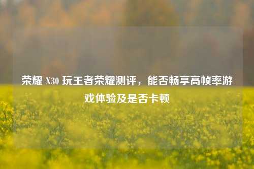 荣耀 X30 玩王者荣耀测评，能否畅享高帧率游戏体验及是否卡顿