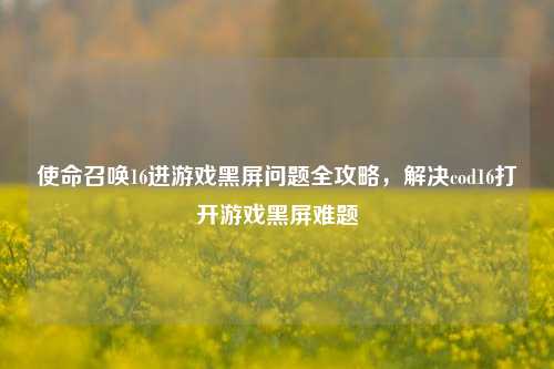 使命召唤16进游戏黑屏问题全攻略，解决cod16打开游戏黑屏难题