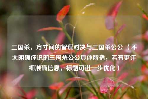 三国杀，方寸间的智谋对决与三国杀公公 （不太明确你说的三国杀公公具体所指，若有更详细准确信息，标题可进一步优化）