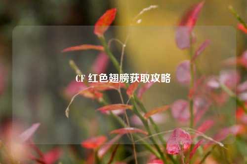 CF 红色翅膀获取攻略
