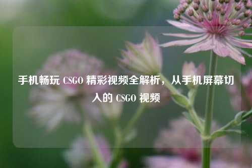 手机畅玩 CSGO 精彩视频全解析，从手机屏幕切入的 CSGO 视频